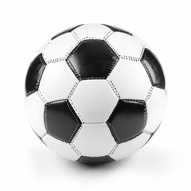 凤凰体育平台官方形象图